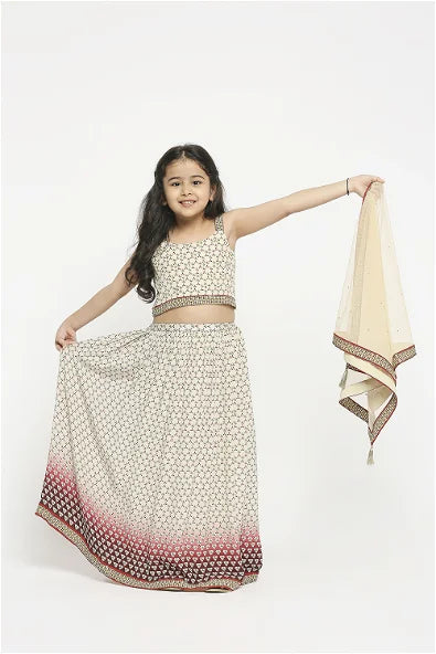 Women's Applique Geometric Printed Lehenga Paired With Crop Top And Net Dupatta